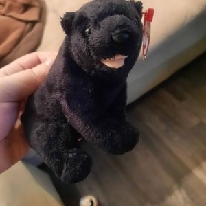 2000 Cinders the bear TY beanie baby